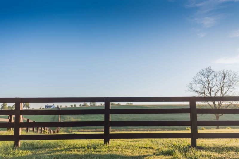 Equine Fence Installation in Sacramento, CA